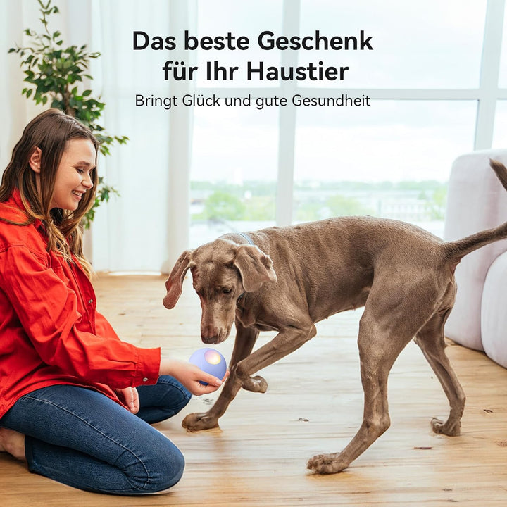 Cheerble Wicked Ball PE, 3 Interaktionsmodi Interaktives Hundespielzeug Ball, Selbstrollender Ball H