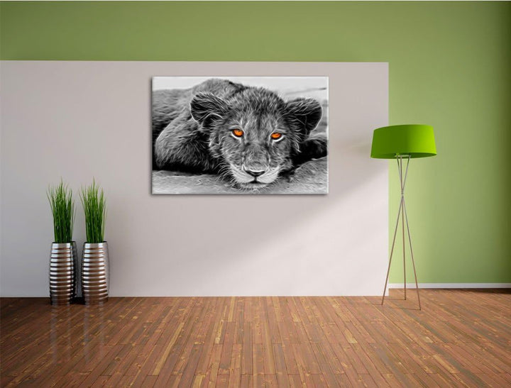 wachsamer junger Löwe schwarz/weiss Deluxe Format: 100x70 cm auf Leinwand, XXL riesige Bilder fertig