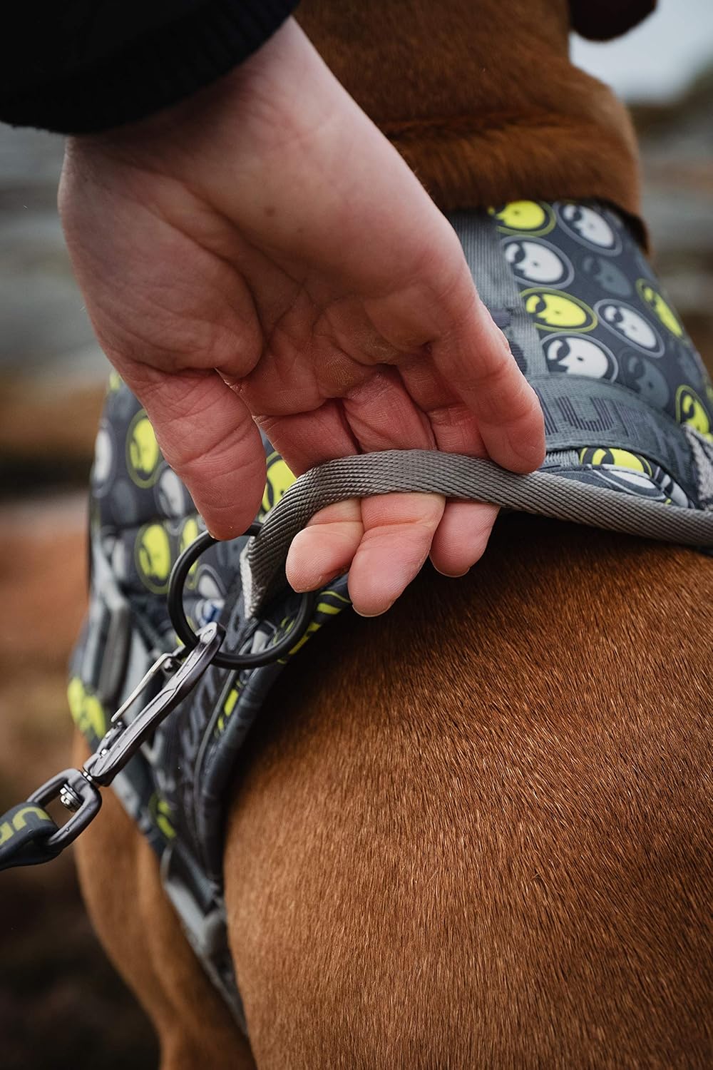 Hurtta Go Harness Hundegeschirr für kleine Hunde, gepolstert, vorne verstellbar, mit Griff und Refle