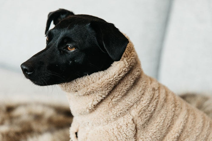 Kentucky Dogwear Hundepullover Teddy Fleece, Grösse:M, Farbe:beige M beige, M beige