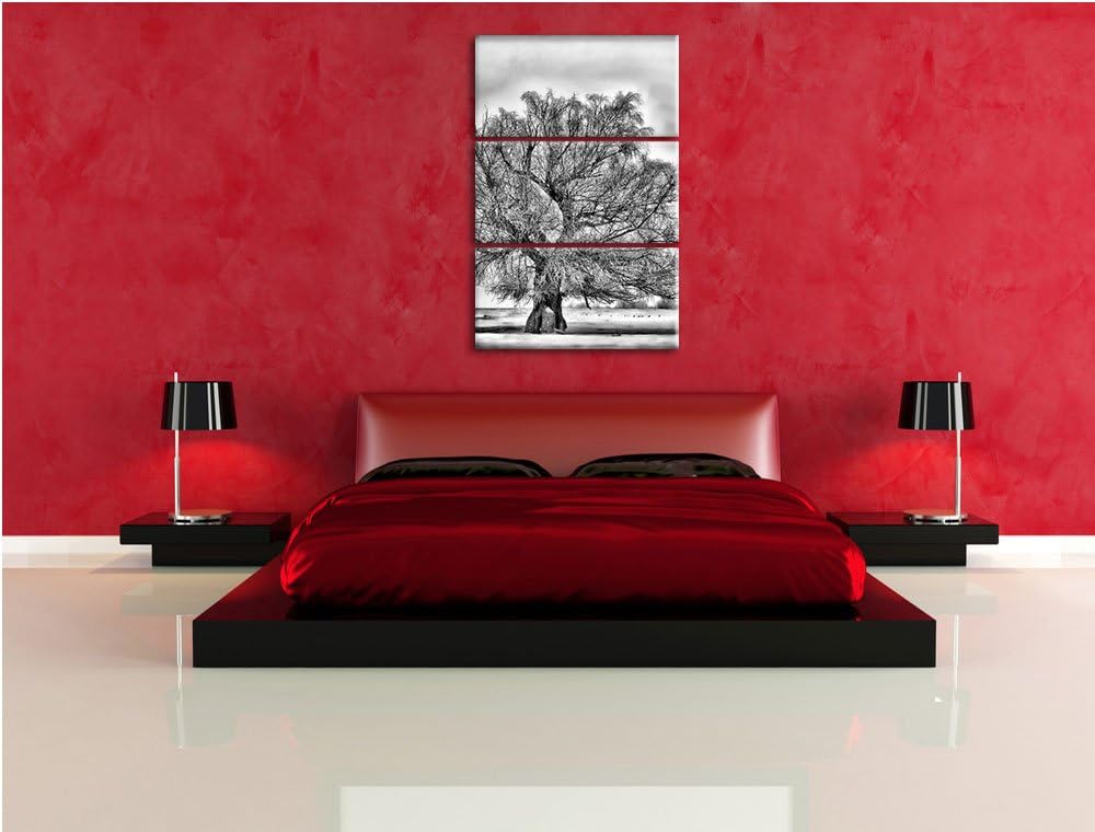 Pixxprint Monocrome, Bäume im Schnee Nebel 3-Teiler Leinwandbild 120x80 Bild auf Leinwand