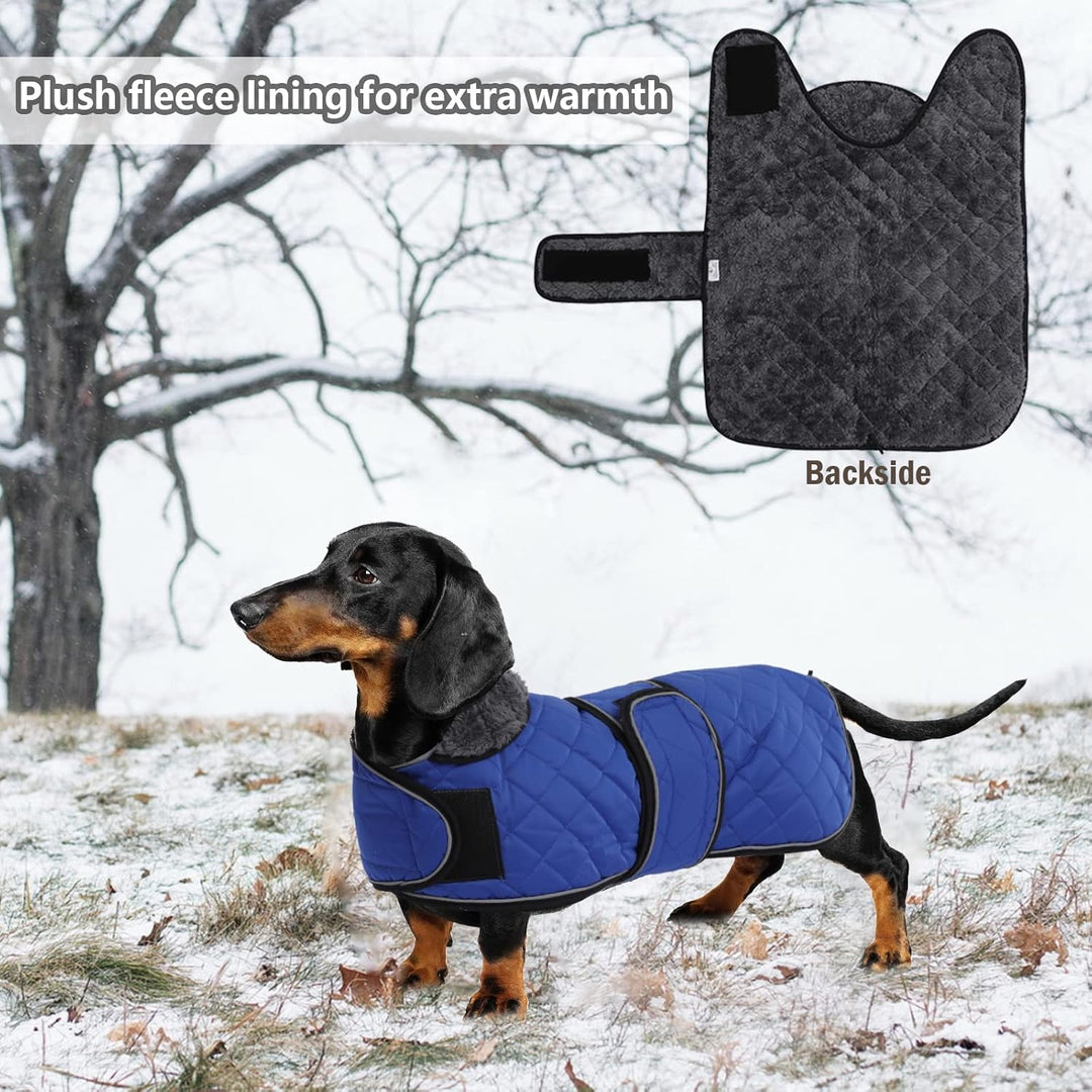 Geyecete - Warmer wintermantel für dackel Hunde,Hunde winterjacken mit plüschfutter,Outdoor jacken m