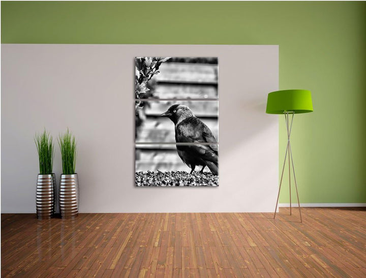 Pixxprint Vogel auf Gartenwiese als Leinwandbild/Grösse: 3 Teilig (120x80) cm/Wandbild/Kunstdruck/fe