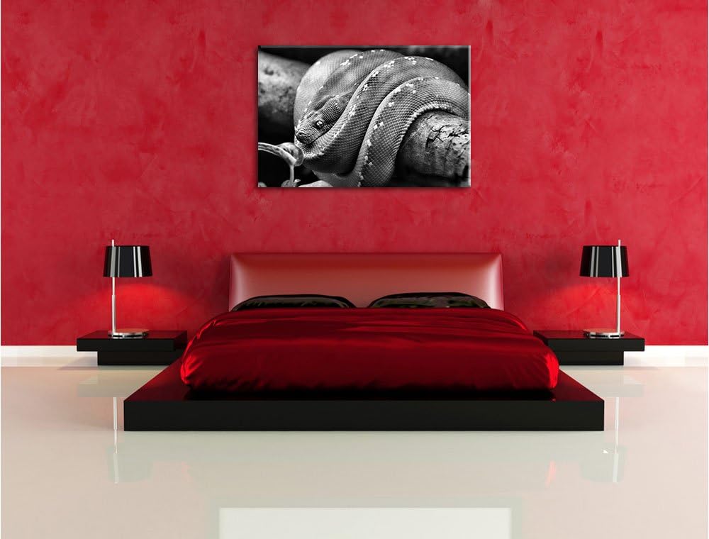 Pixxprint Grüne exotische Schlange als Leinwandbild/Grösse: 100x70 cm/Wandbild/Kunstdruck/fertig bes