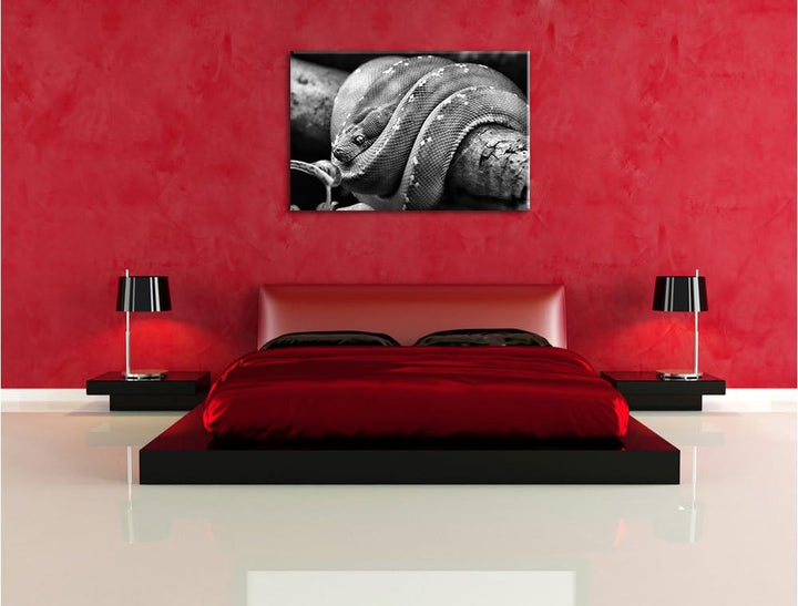 Pixxprint Grüne exotische Schlange als Leinwandbild/Grösse: 100x70 cm/Wandbild/Kunstdruck/fertig bes