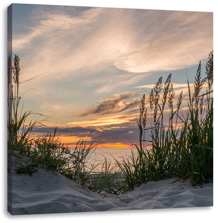 Pixxprint Gras am Strand bei Sonnenuntergang, Format: 70x70 auf Leinwand, 70x70