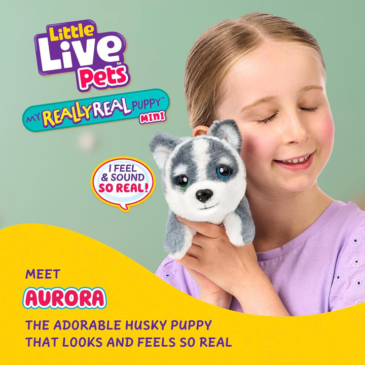 Little Live Pets My Really Real Puppy Minis – Aurora der Husky, interaktiver Puppy mit 20+ Geräusche