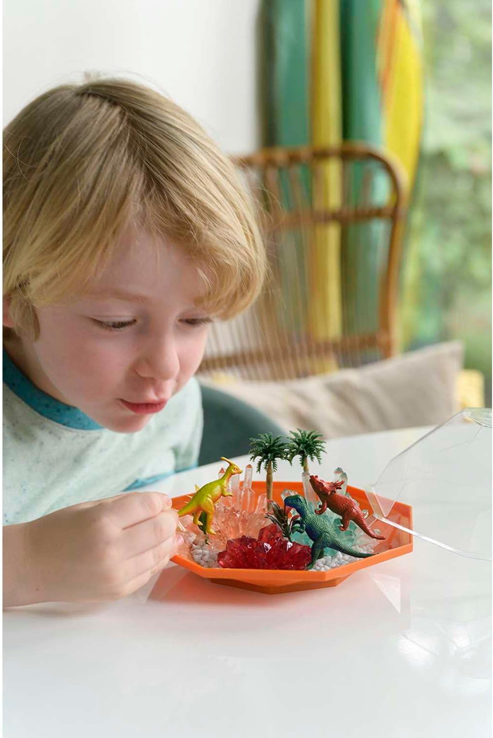 4M Crystal Growing: Kristalle züchten: Dinosaurier Kristall-Terrarium - Experimentierkasten Kinder a