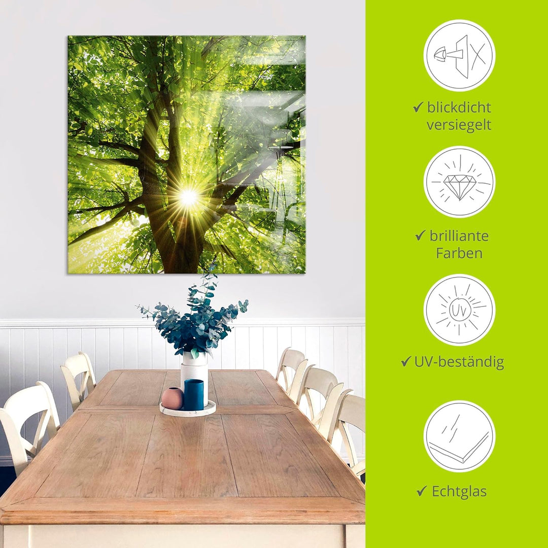 Glasbilder Wandbild Glas Bild einteilig 100x50 cm Querformat Wald Natur Botanik Bäume Laubbaum Sonne