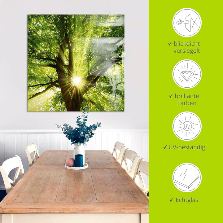 Glasbilder Wandbild Glas Bild einteilig 100x50 cm Querformat Wald Natur Botanik Bäume Laubbaum Sonne