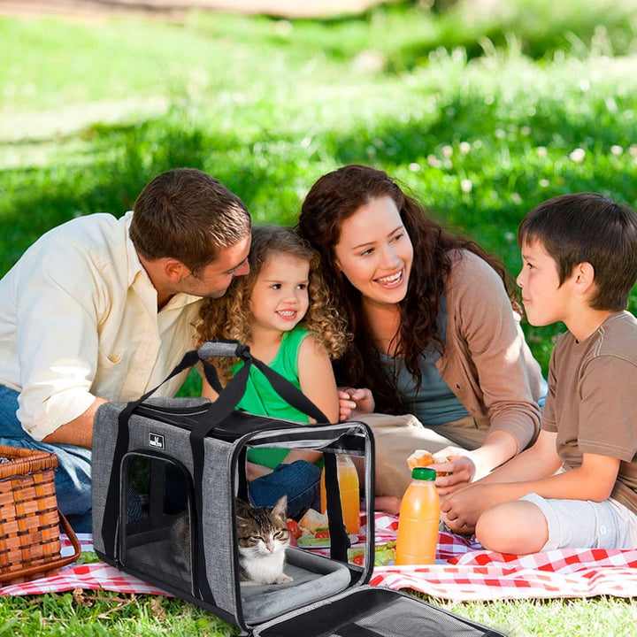 Wakytu Hund Reisetasche Flugzeug Transportbox für Katze Hund Transporttasche für Haustiere Faltbare
