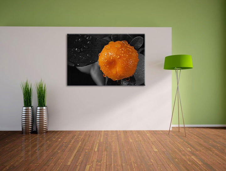 Orange Orangejuice Black Waterdrop on Orange schwarz/weiss Format: 100x70 auf Leinwand, XXL riesige
