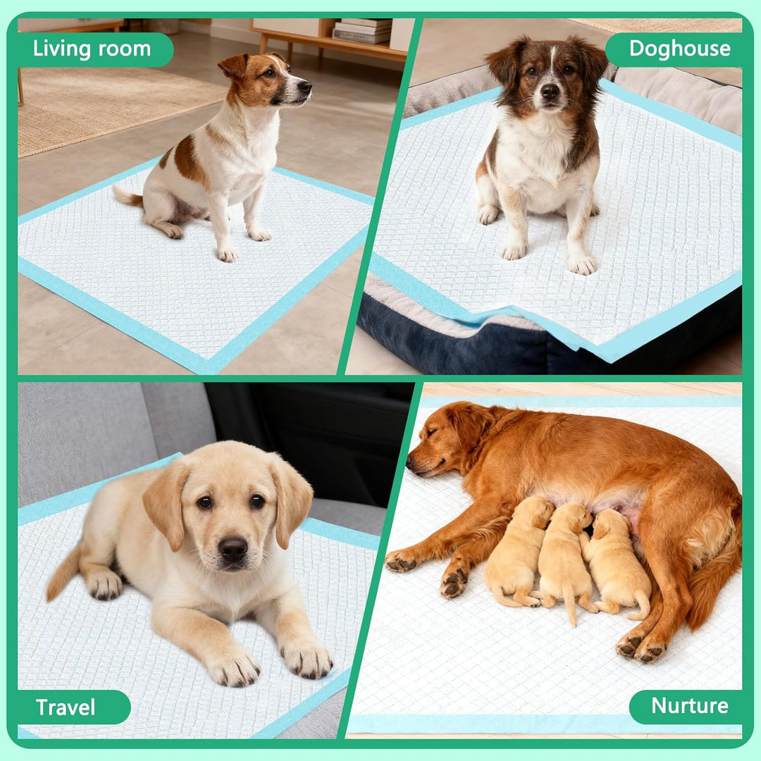 60X60 cm PIPI Matten für Hunde, 100 Stück Trainingspads für Welpen, Puppy Pads Verfügen über EIN Sec