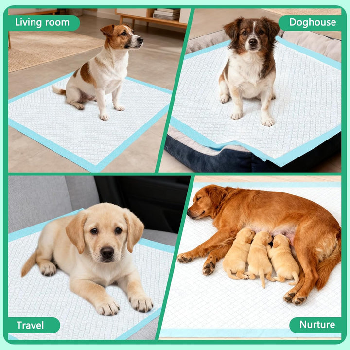 60X60 cm PIPI Matten für Hunde, 100 Stück Trainingspads für Welpen, Puppy Pads Verfügen über EIN Sec