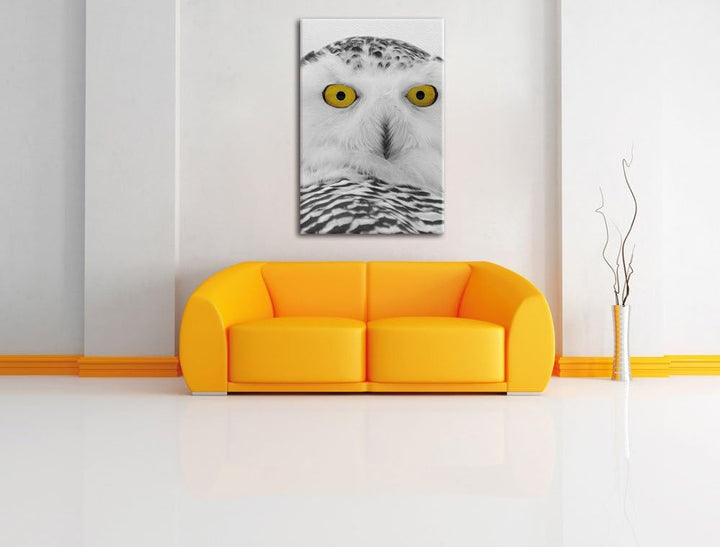 Pixxprint grosse Schnee Eule / 120x80cm Leinwandbild bespannt auf Holzrahmen/Wandbild Kunstdruck Dek