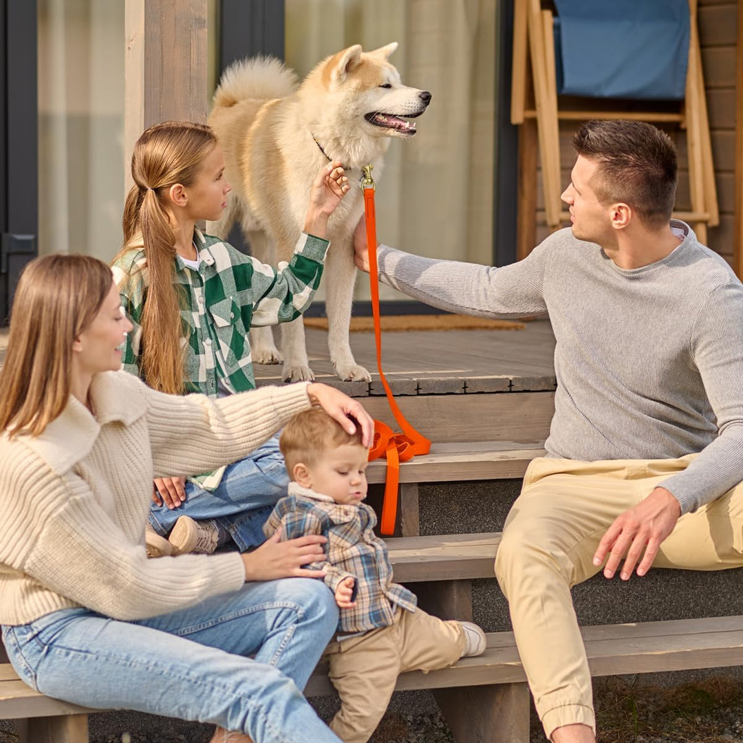Viper Biothane Hundeleine mit Langer Leine für Hunde, 2 Farben und 6 Grössen Orange 1/2" x 33ft, Ora