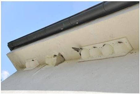 MKW - Nistkasten für Fensterschwalben, hochwertig, dreifach