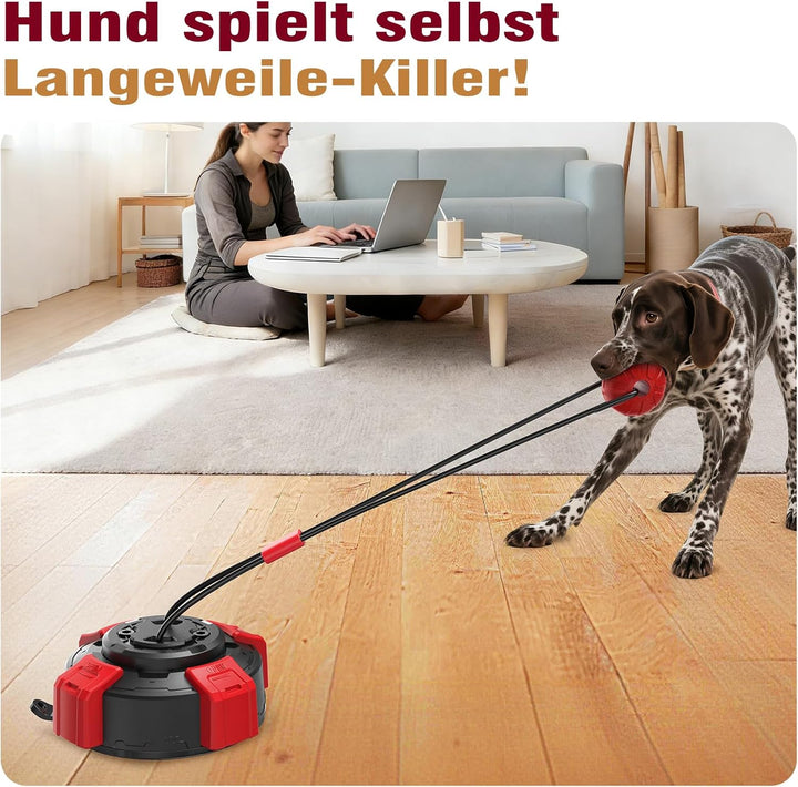 Interaktives Hundespielzeug zum Tauziehen, Hunde Spielzeug mit Saugnapf gegen Langeweile, Hundepuzzl
