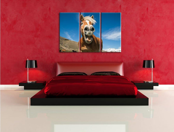 Pixxprint Lustiges Pferd in der Natur als Leinwandbild - Grösse: 3-Teilig (120x80cm) - Wandbild - Ku