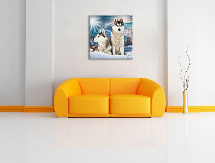 Zwei wilde Huskies, Format: 70x70 auf Leinwand, XXL riesige Bilder fertig gerahmt mit Keilrahmen, Ku