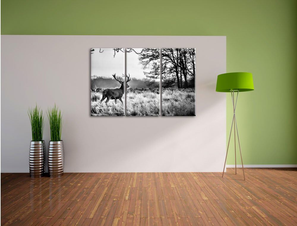 Pixxprint Hirsch im Sonnenuntergang als Leinwandbild/Grösse: 3 Teilig (120x80) cm/Wandbild/Kunstdruc