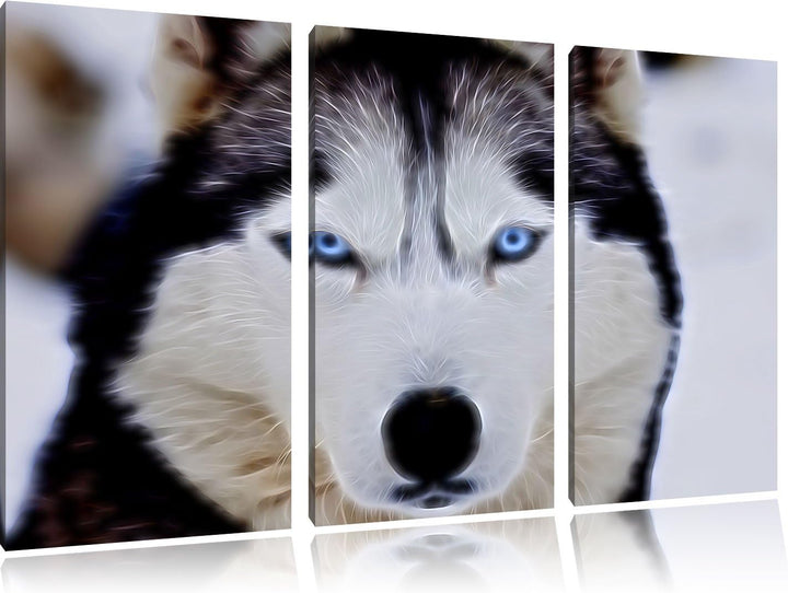 Pixxprint Husky Neon Lights Effekt 3-Teiler Leinwandbild 120x80 Bild auf Leinwand