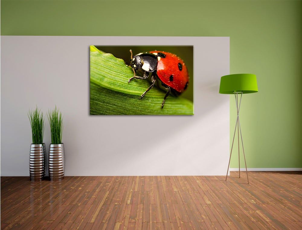 Pixxprint Marienkäfer in Detailaufnahme als Leinwandbild/Grösse: 100x70 / Wandbild/Kunstdruck/fertig