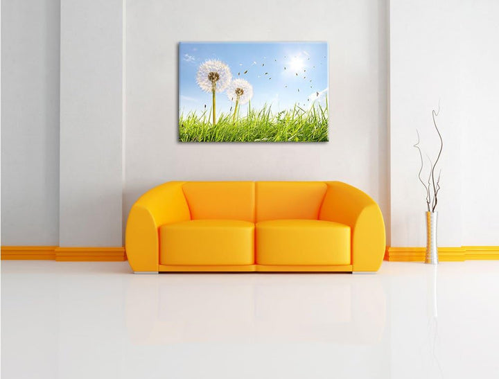 Pusteblumen auf sonniger Frühlingswiese Format: 100x70 auf Leinwand, XXL riesige Bilder fertig gerah