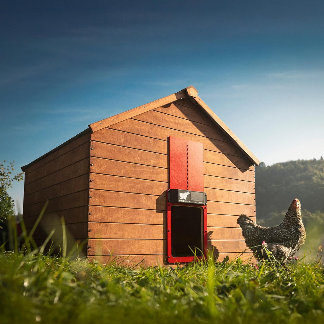 Run-Chicken Tür (rot) Solar Hühnerstall Tür, batteriebetriebene automatische Hühnerstalltür, program