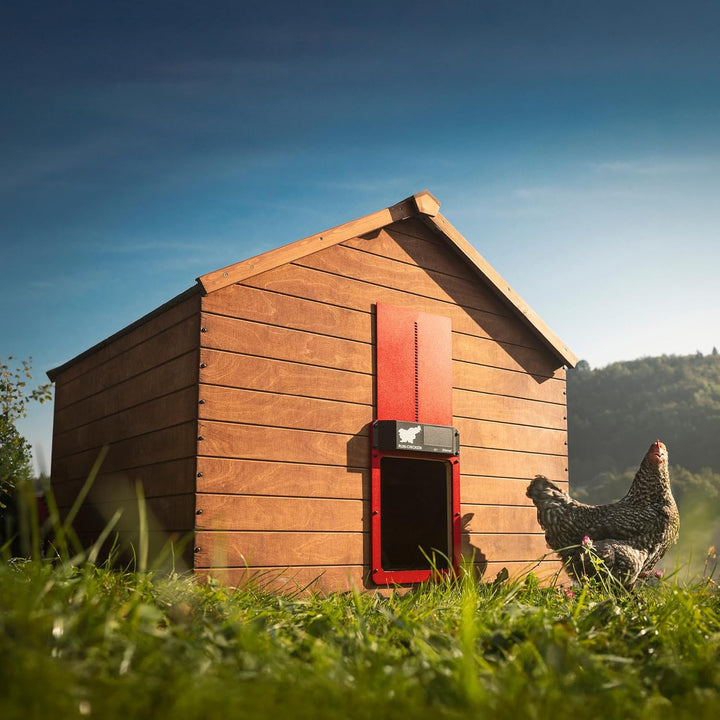 Run-Chicken Tür (rot) Solar Hühnerstall Tür, batteriebetriebene automatische Hühnerstalltür, program