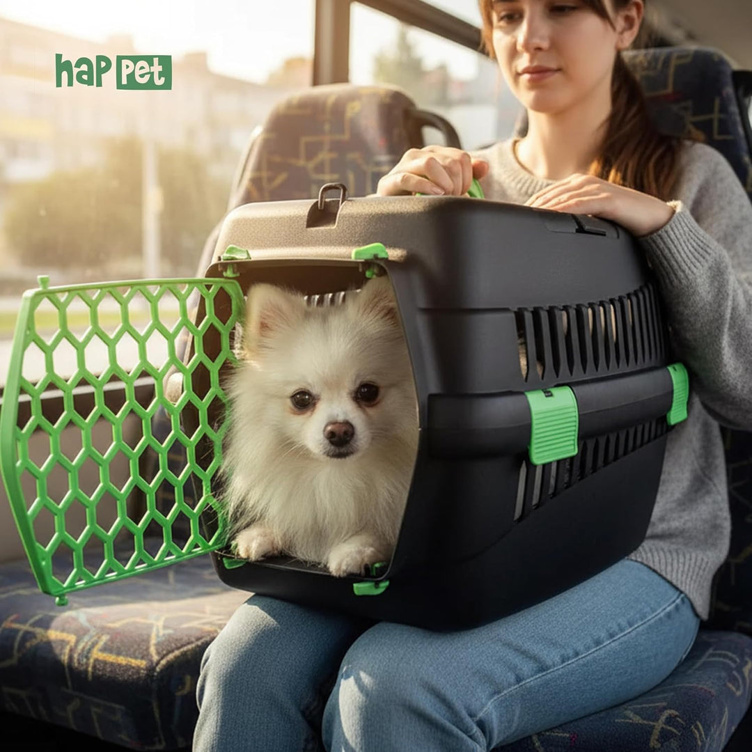HAPPET Tiertransportbox Teddy M Grün 56x37x37 cm – Robuste, gut belüftete Transportbox für Katzen &
