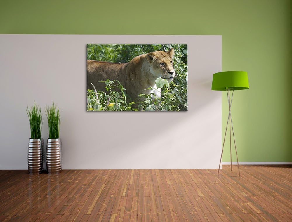 Pixxprint wachsame Löwin Leinwand, XXL riesige Bilder fertig gerahmt mit Keilrahmen, Kunstdruck auf