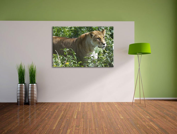 Pixxprint wachsame Löwin Leinwand, XXL riesige Bilder fertig gerahmt mit Keilrahmen, Kunstdruck auf