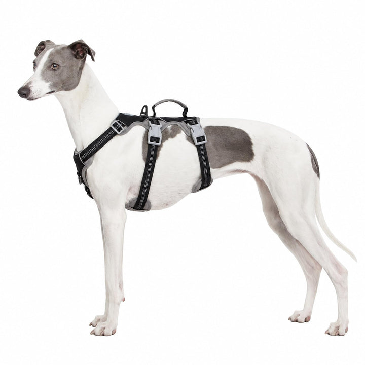 Huntboo Hundegeschirr Ausbruchsicher, Hundegeschirr Grosse Hunde, Reflektierender Gurt mit Gepolster