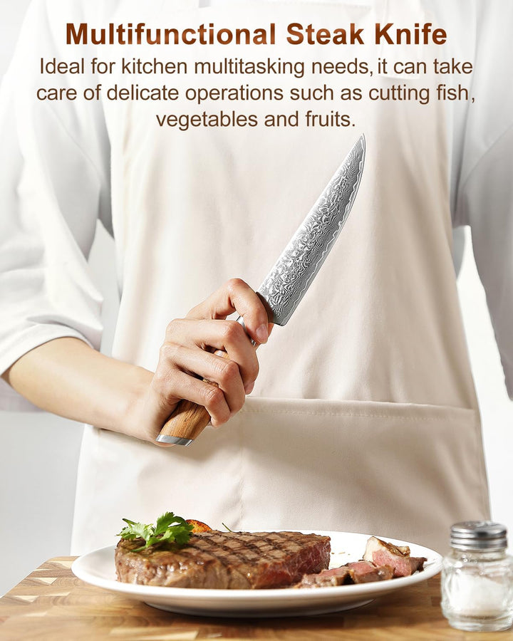 XINZUO Damaststahl Steakmesser Set 5er -73 Schichten Damastpulverstahl Steakbesteck mit Akazienholz
