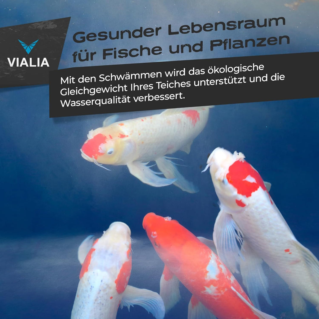 VIALIA Japanmatten 2er Set in blau, Ersatzteil für CBF-350B Kammerfilter, Biomatte zur groben Filter