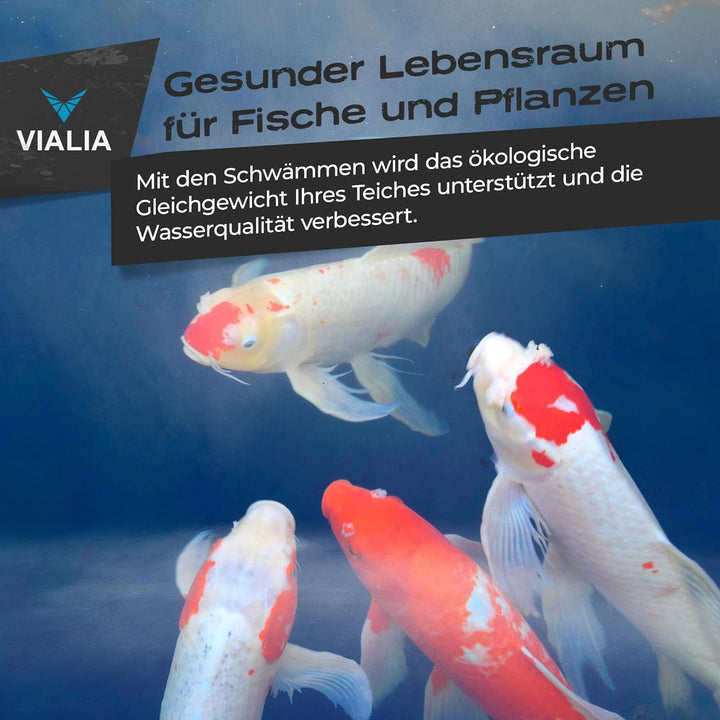 VIALIA Japanmatten 2er Set in blau, Ersatzteil für CBF-350B Kammerfilter, Biomatte zur groben Filter