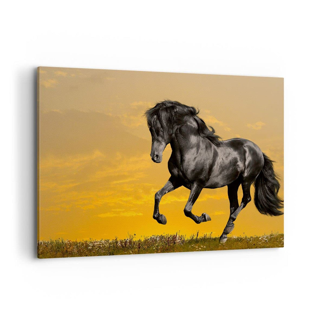 Bilder auf Leinwand 100x70cm Leinwandbild Tiere Pferd Laufen Wiese Gross Wanddeko Bild Schlafzimmer