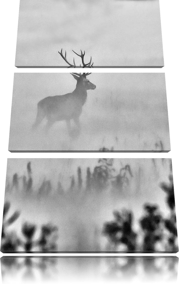 Pixxprint Hirsch im Nebel als Leinwandbild | Grösse: 3 Teilig (120x80) | Wandbild| Kunstdruck | fert