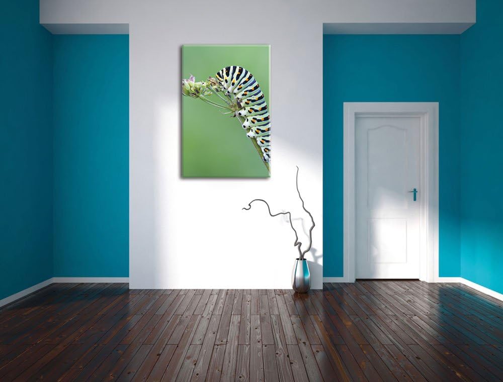 Pixxprint Grüne Raupe auf AST Insekten Urwald Tiere, Format: 100x70 auf Leinwand, 100x70