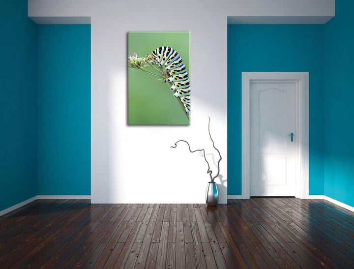 Pixxprint Grüne Raupe auf AST Insekten Urwald Tiere, Format: 100x70 auf Leinwand, 100x70