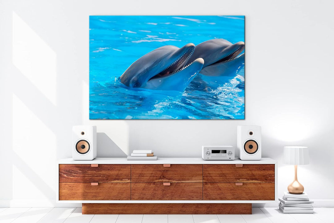 deyoli bezaubernde Delphine Format: 80x60 als Leinwand, Motiv fertig gerahmt auf Echtholzrahmen, Hoc