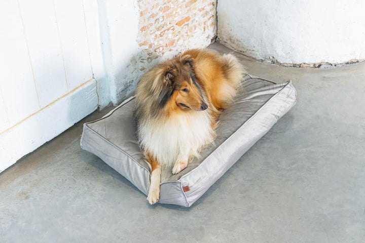 Designed by Lotte DBL Nalino Liegekissen, Hund, Samt, grau, 100x70x15 cm, Grau