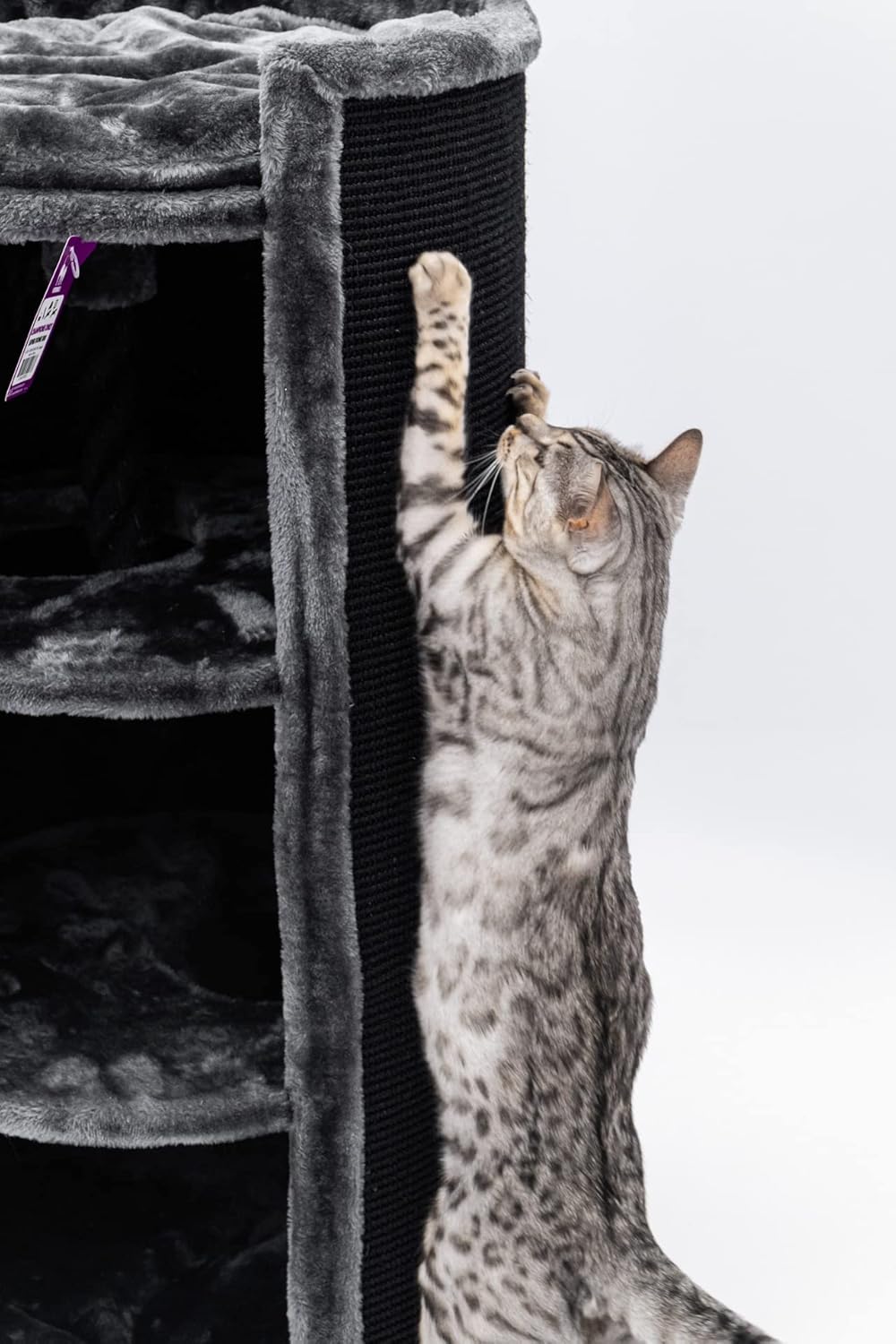 Petrebels Kratztonne XL Superdome 100 cm hoch, Ø 50 cm, Design Kratztonne für grosse Katzen, extra B