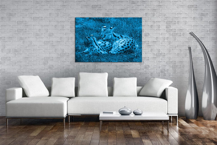 deyoli zwei kuschelnde Servale Felines Katzen Format 80x60 Effekt: Monocrome Blau als Leinwandbild,
