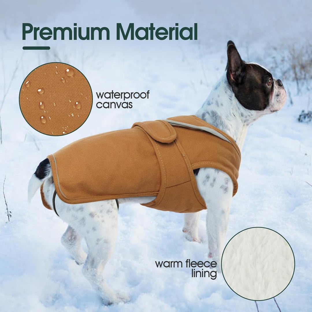 Kuoser Wasserdicht Hundemantel Hundejacke für Kleine Mittelgrosse Hunde, Reflektierende Leinwand Win