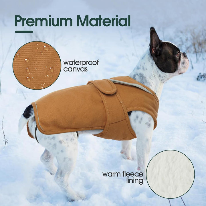 Kuoser Wasserdicht Hundemantel Hundejacke für Kleine Mittelgrosse Hunde, Reflektierende Leinwand Win