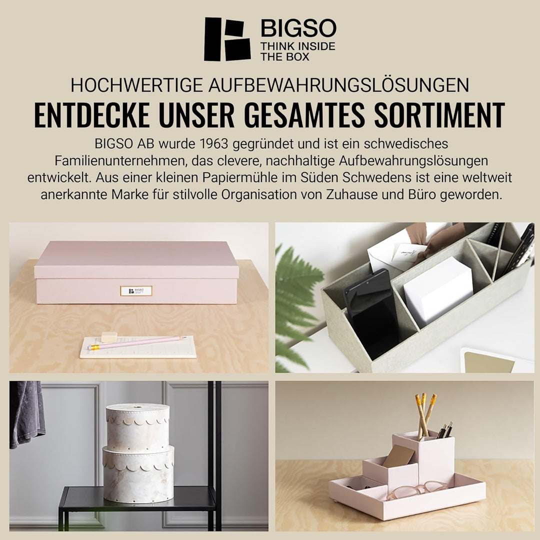 BIGSO JOHAN Hängeregisterbox A4 – Hängemappenbox mit Deckel und Griff – Schreibtischablage für Hänge