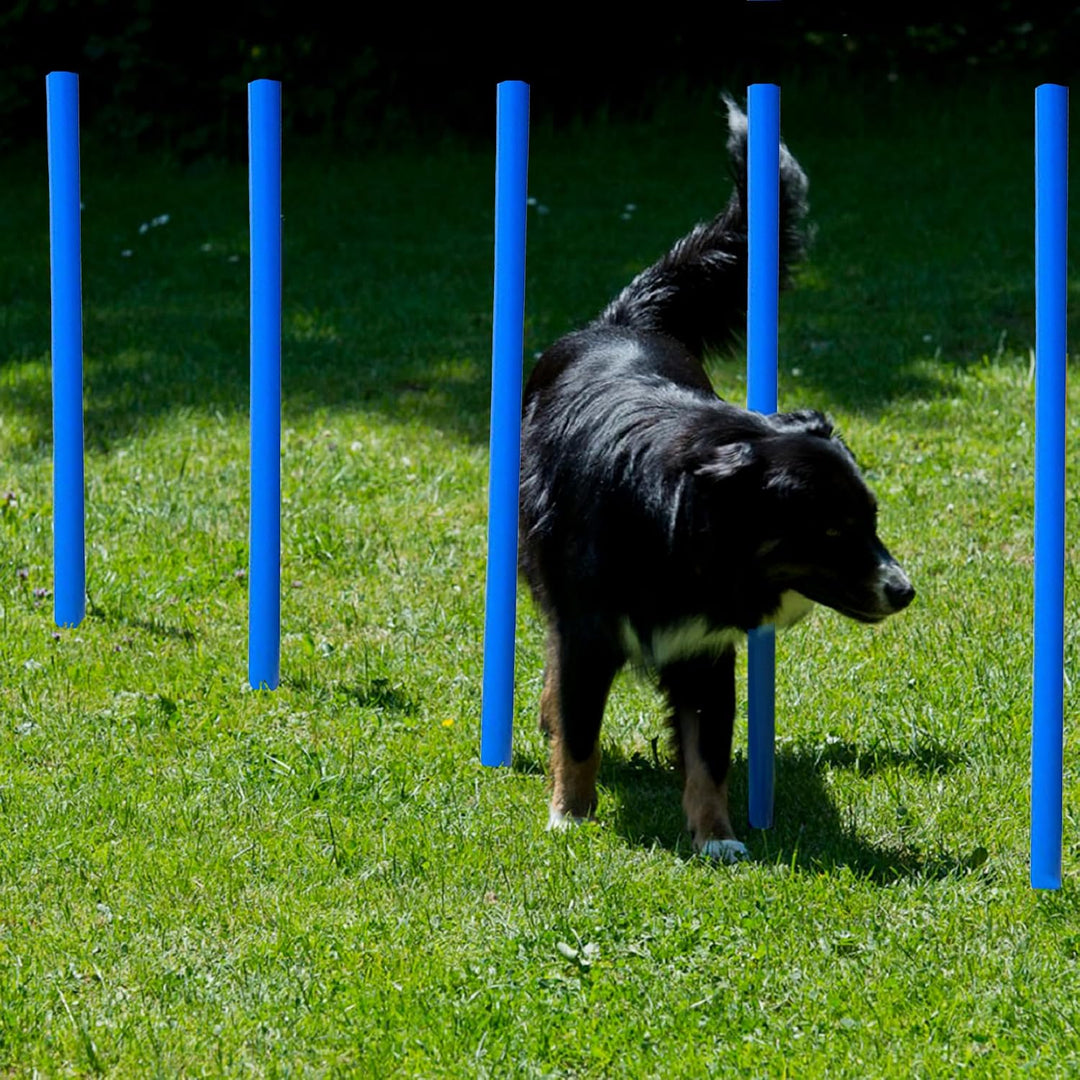 Hunde Agility‑Set 12Slalom‑Stangen, wetterfestes Slalom‑Set für Hundesport und Fussball, Agility‑Tra