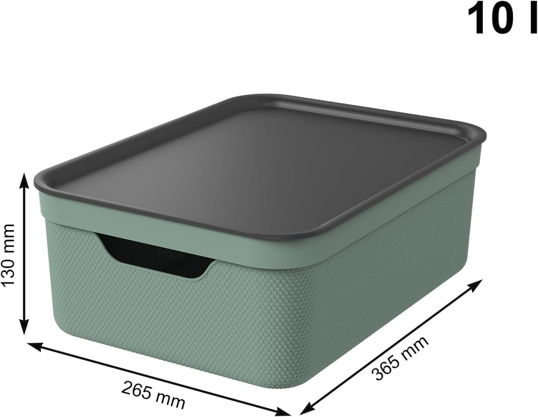 Rotho Jive 3er-Set Aufbewahrungsbox 10l mit Deckel Grün, Grün